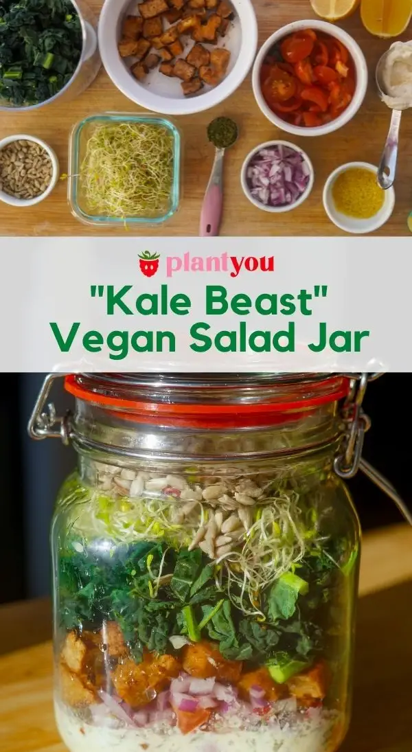 Kozarec za solato Kale Beast