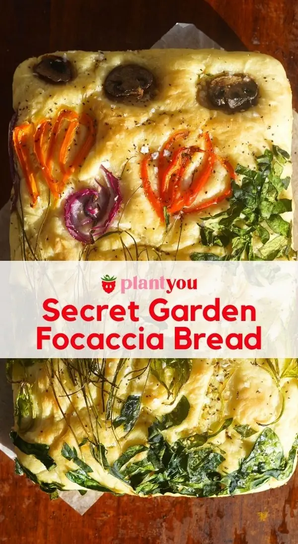 Secret Garden Focaccia kruh